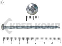 Шуруп с полукруглой головкой DIN7981 4,2х70 Фасовка (100шт)